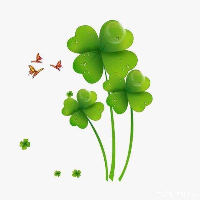 用户美丽之约🍀