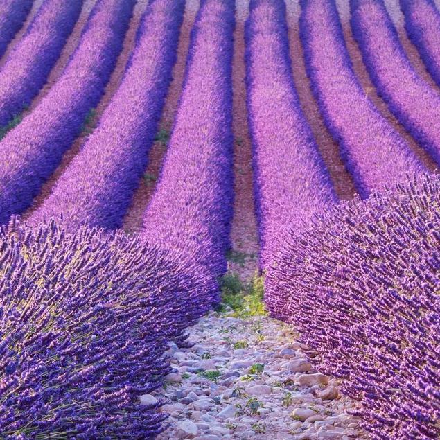 慈氏友视力守护光明