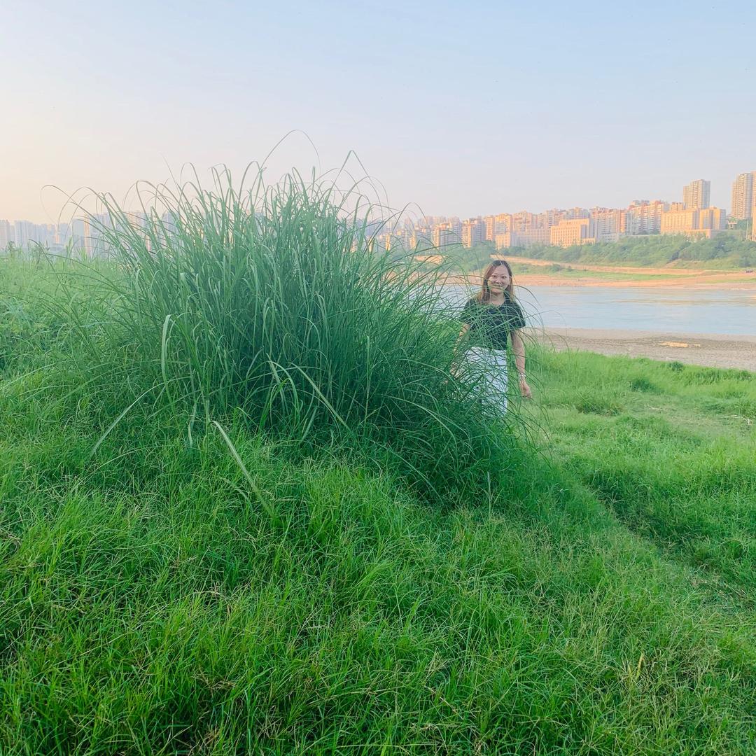 a叶子🍃