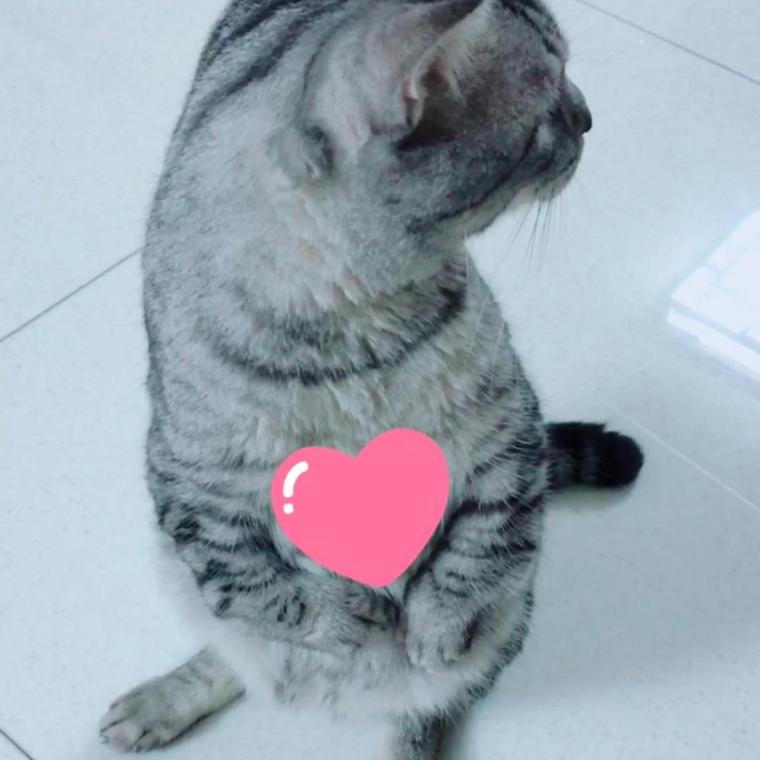 鹦鹉🦜🦜