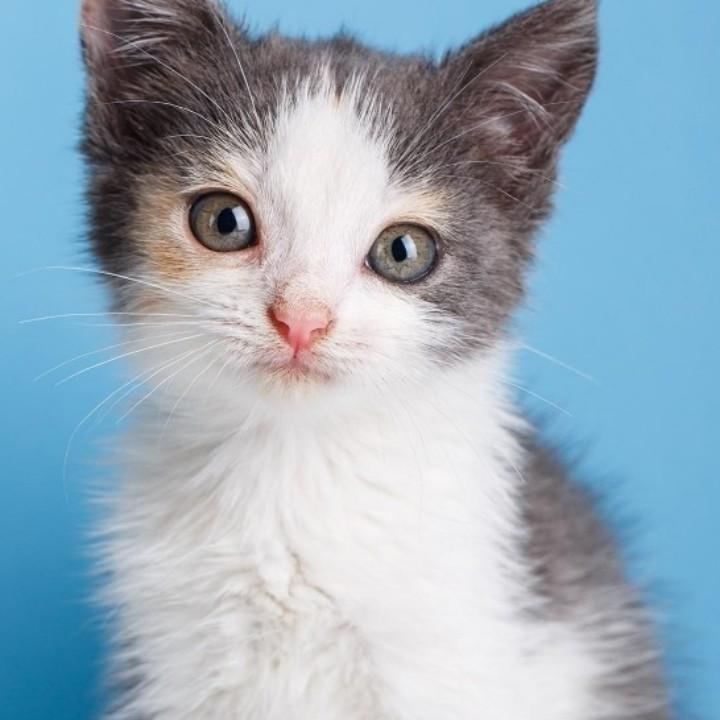 用户3454013616662罗三