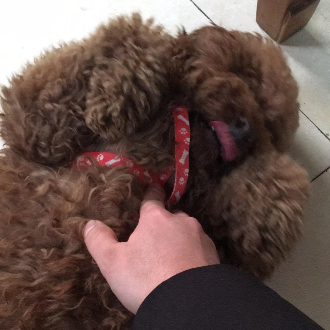 钓鱼爱好者