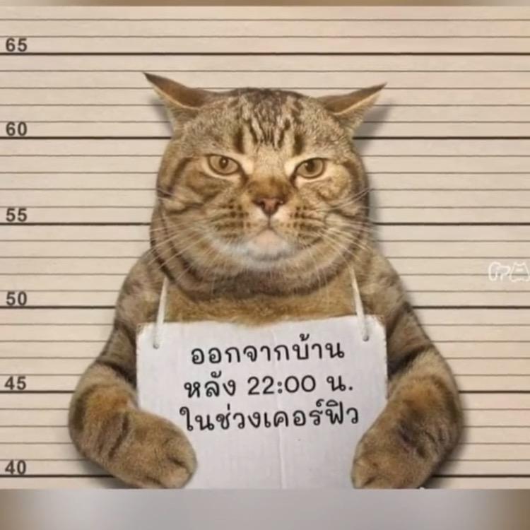 知足不辱丶知止不殆