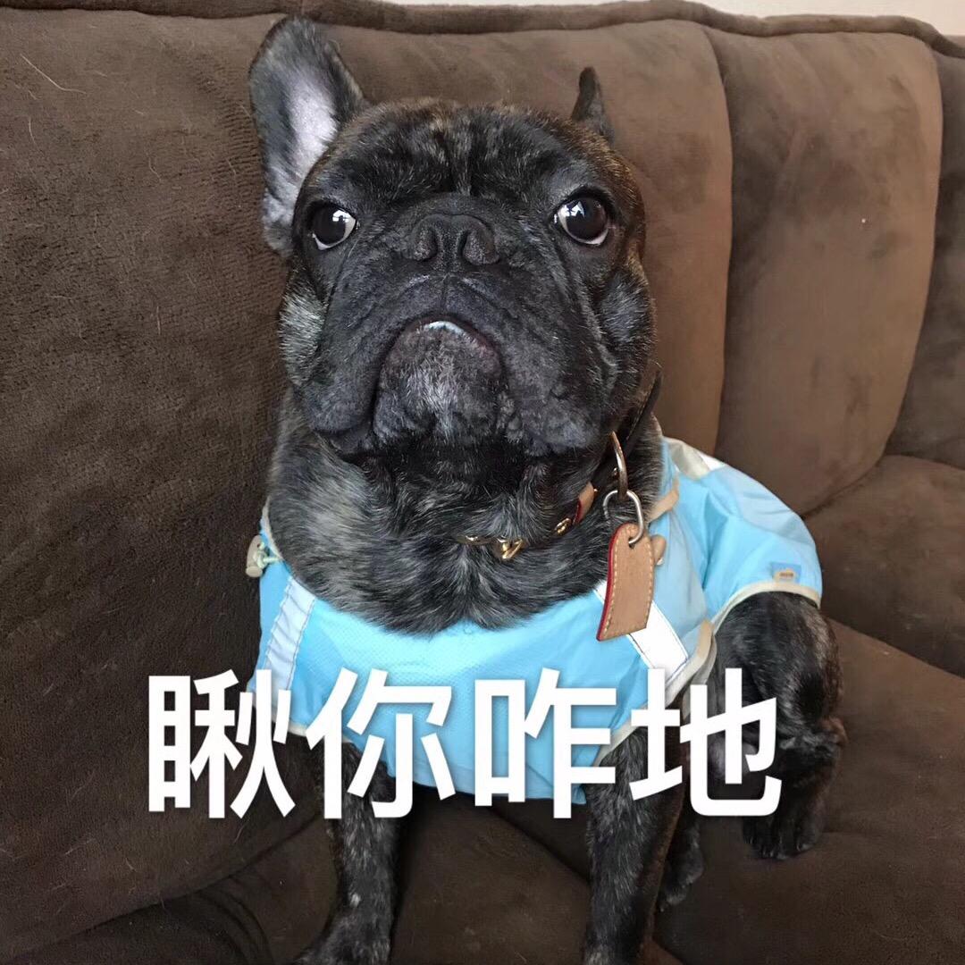是小所长啊