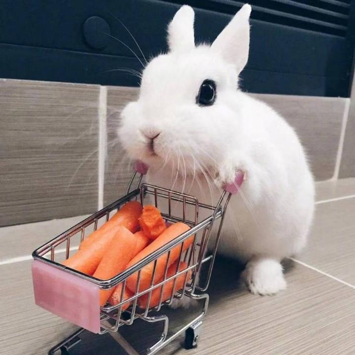 阿新