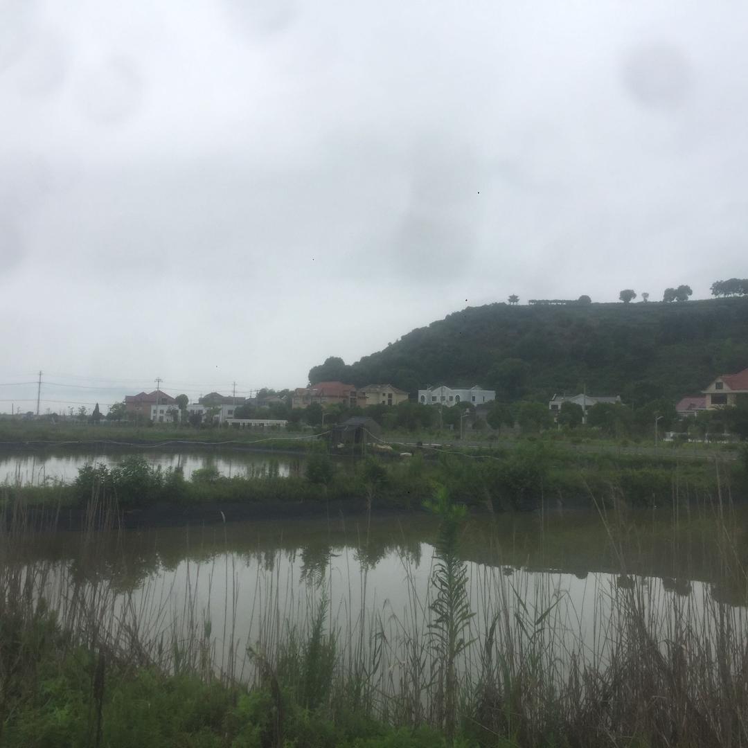 老实哥哥