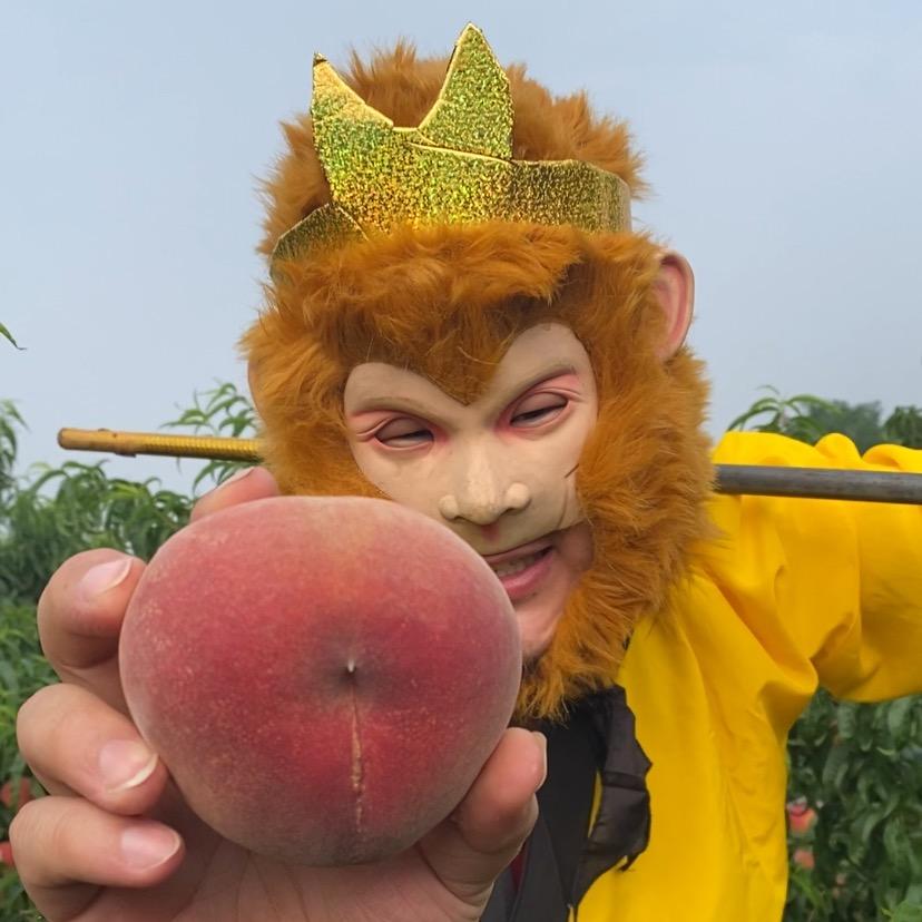 胖小二果业