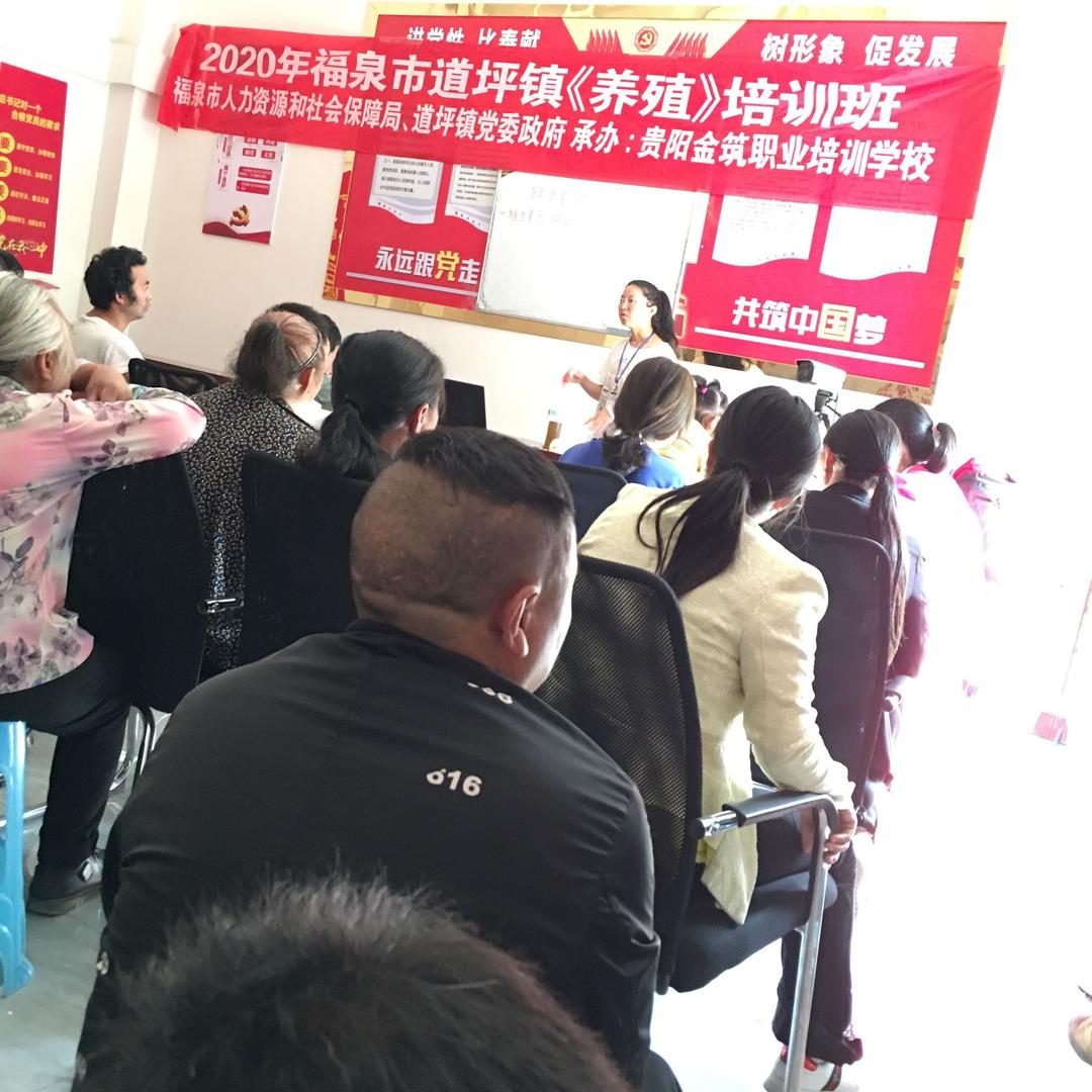 云飞的鱼