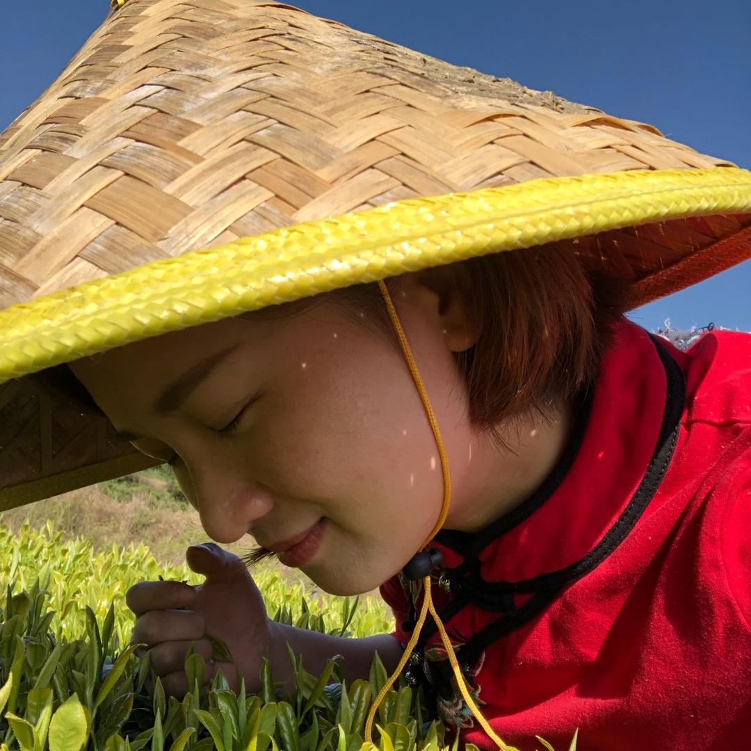 北京茶生缘