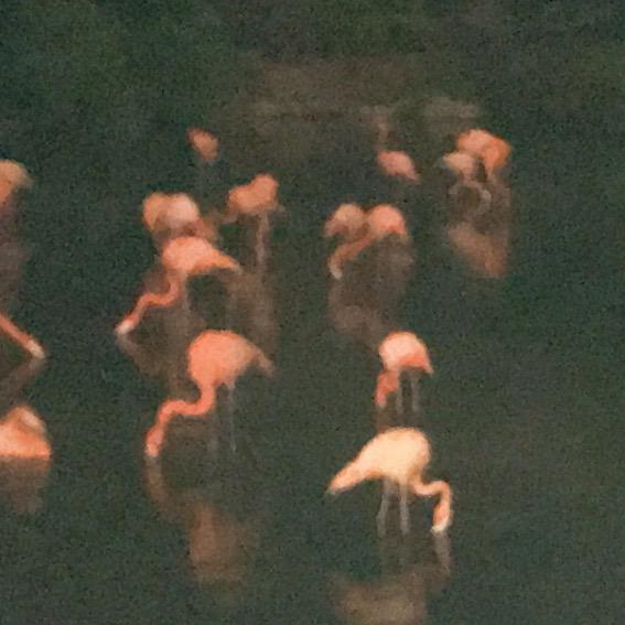 没有小叮当的大雄