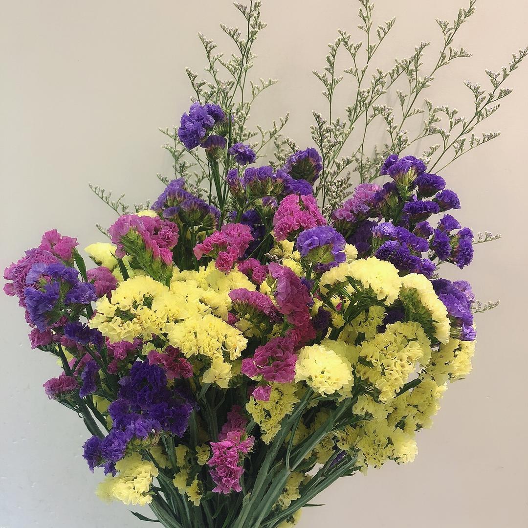 小流芳