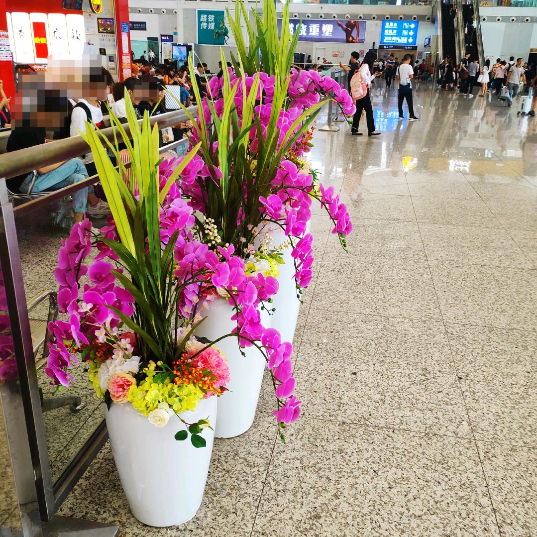 一生花奴