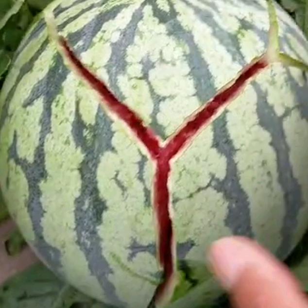 小吴水果