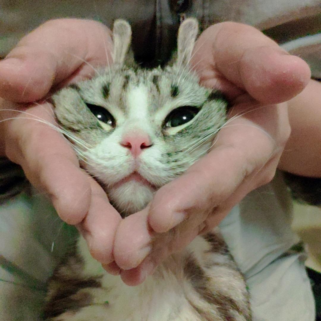 🌈汐汐的手心🌈