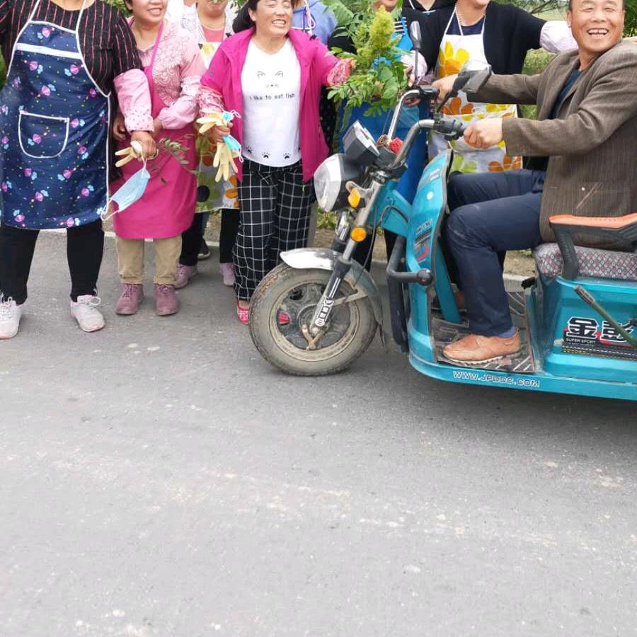 杨永兰