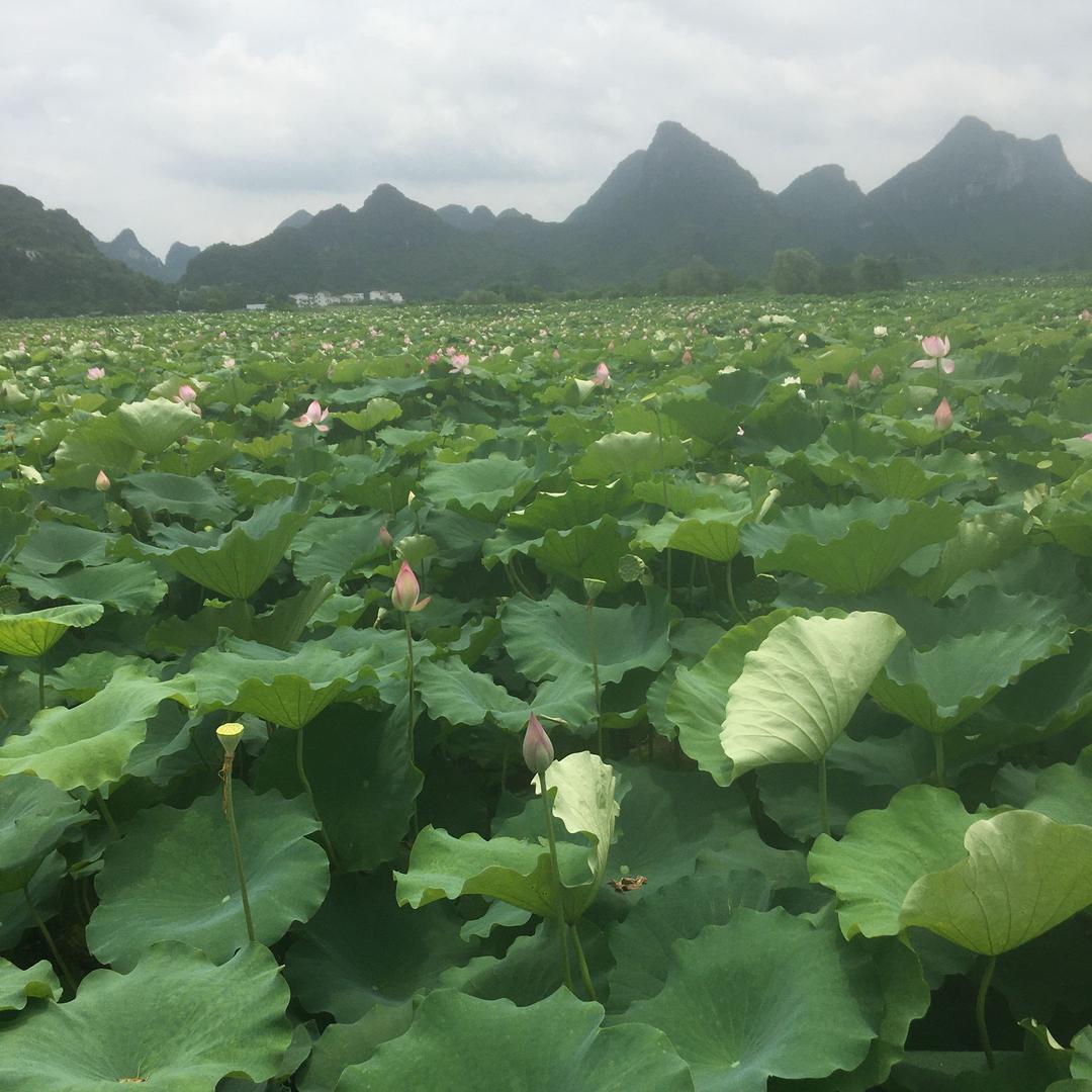 过去的事就过吧、忘了吧..…