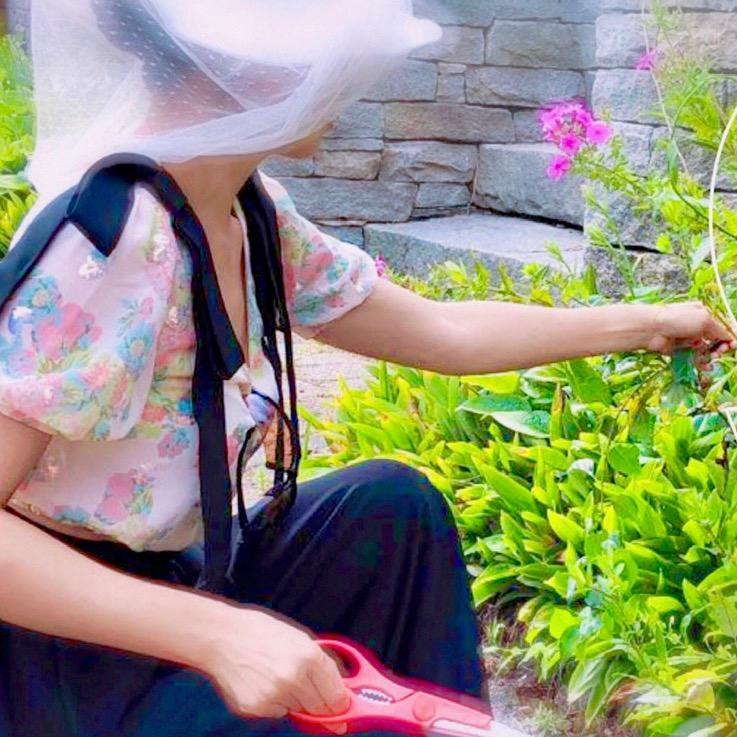 林琳老师 的美国生活