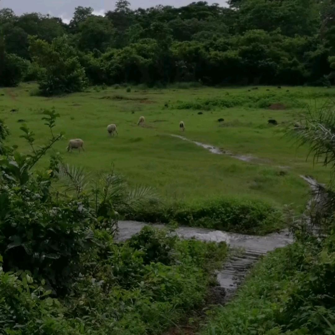 梦想远方不可急