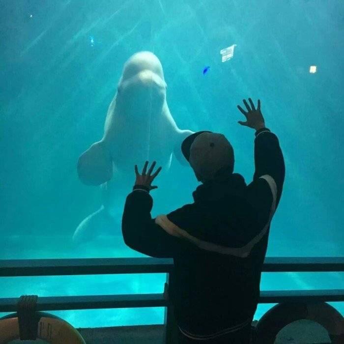 🎹（倒计时版）