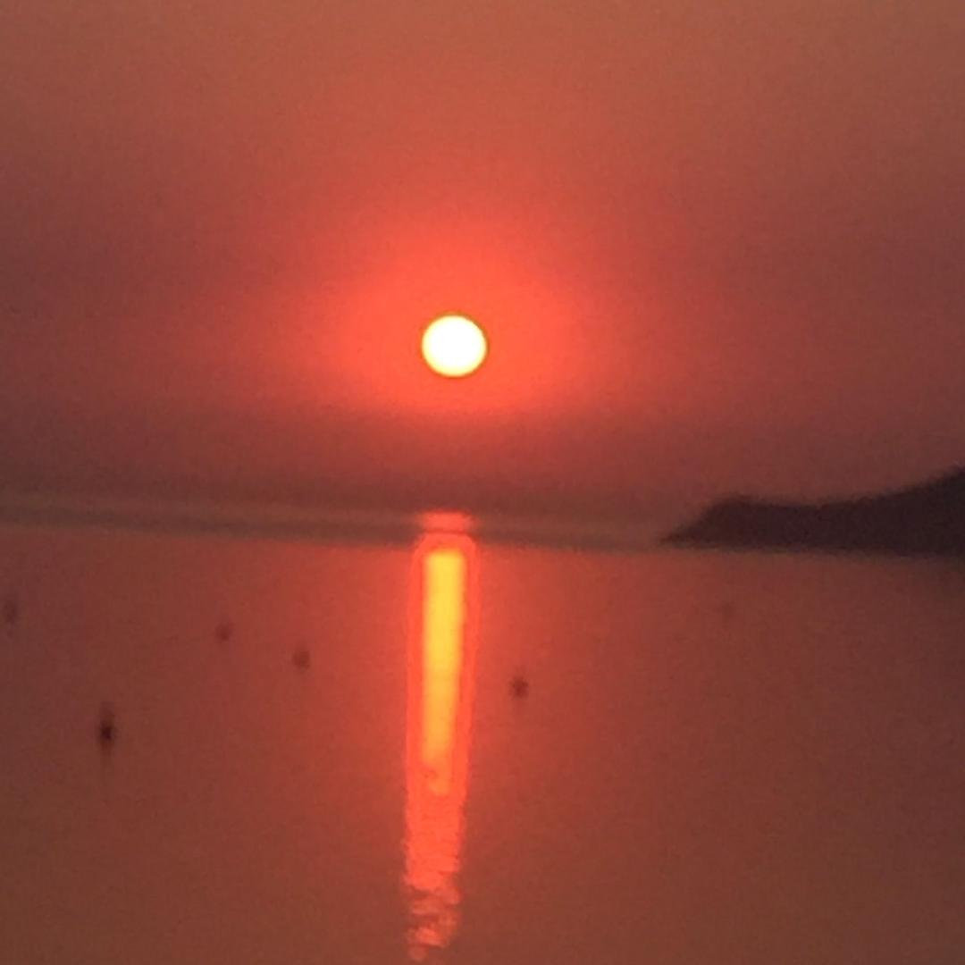 嗨陪