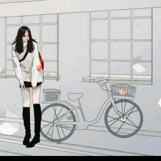 元宝元宝大元宝🐈