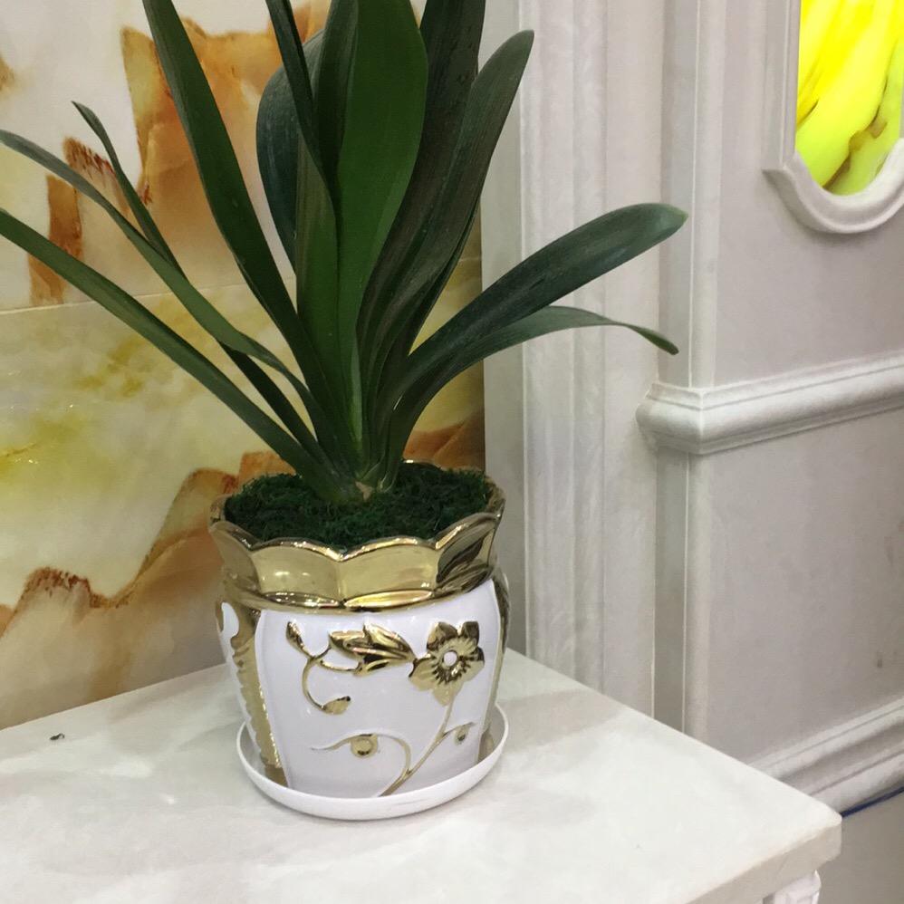 ༒***：文风而去