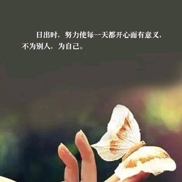 拾一