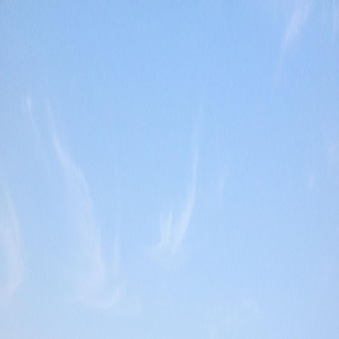 天高任鸟飞