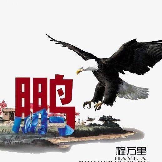 鹏程万里