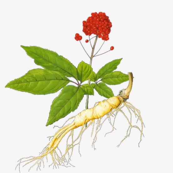 小凤特产