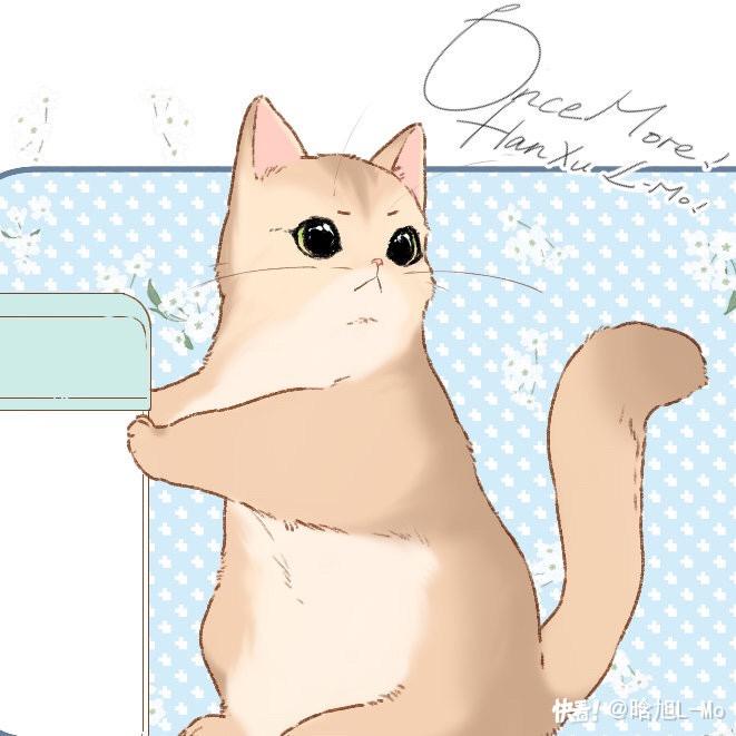 可爱的猫猫