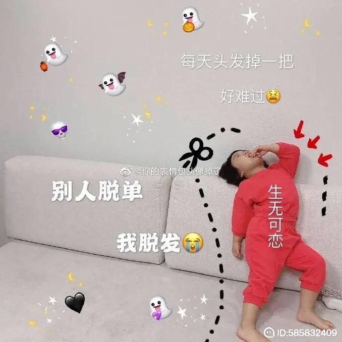 ⤹༇小雪
