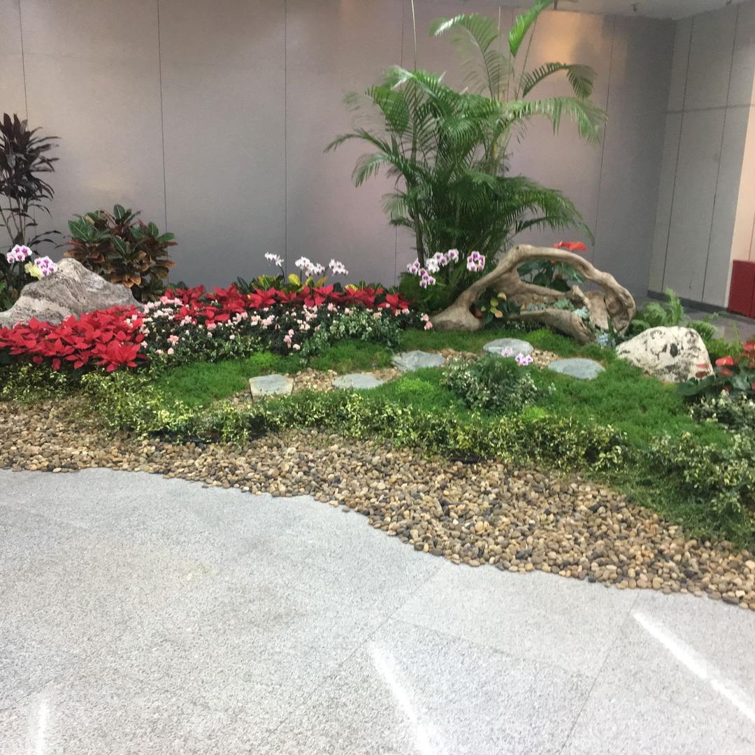 国歌1号