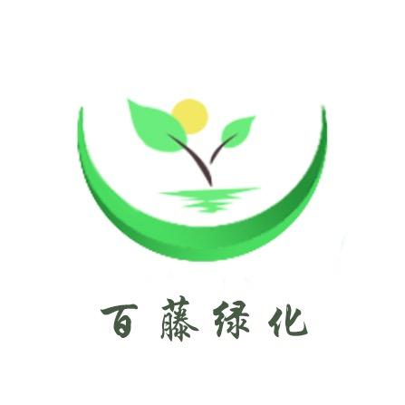 百藤绿化（专注藤本苗木矿山护坡绿化）
