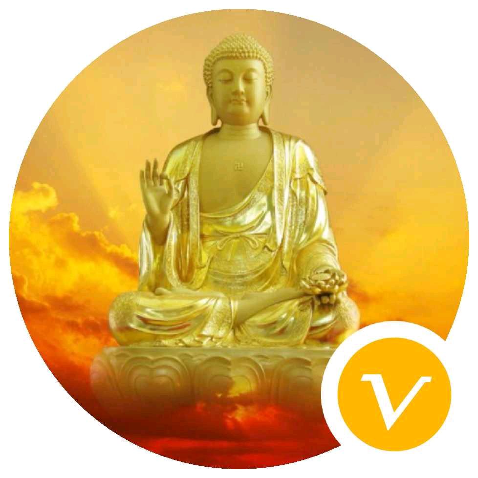 龙游海