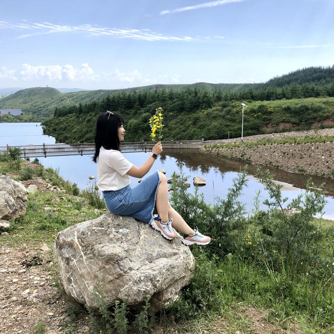王智莉