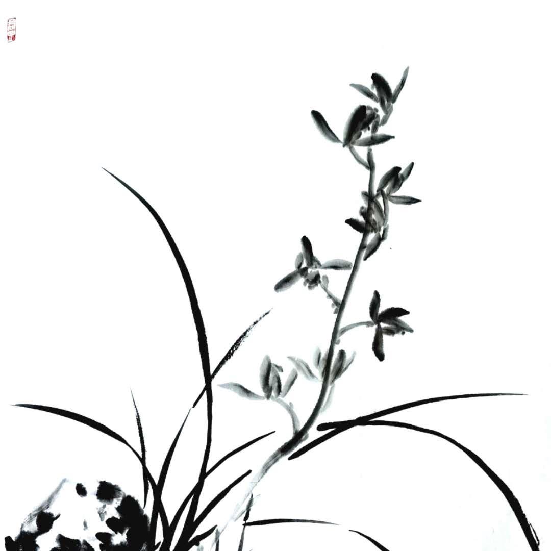 灵犀谷兰花