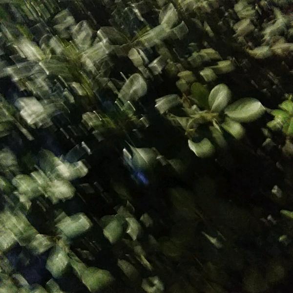 幸福每一天