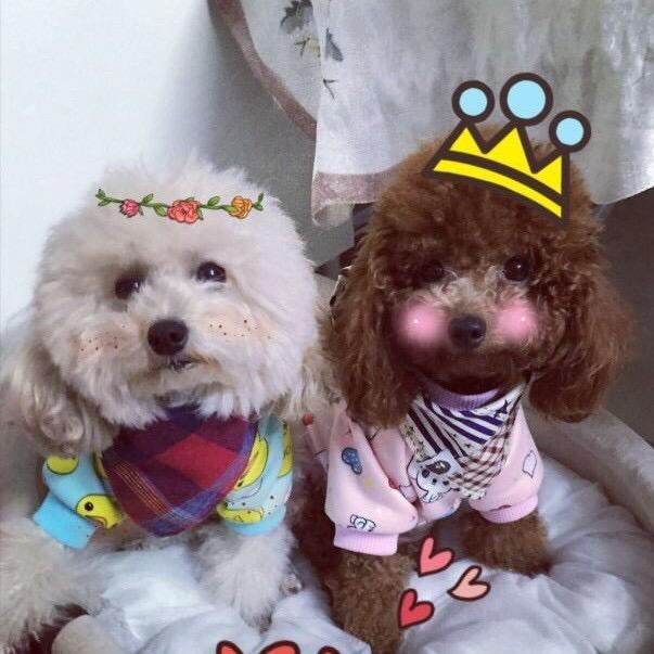 拒绝焦虑的啊哇