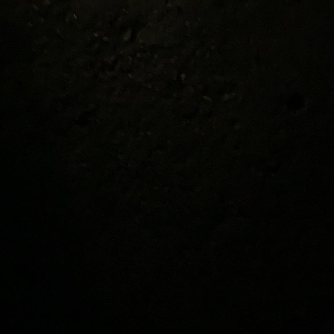 励志前行……
