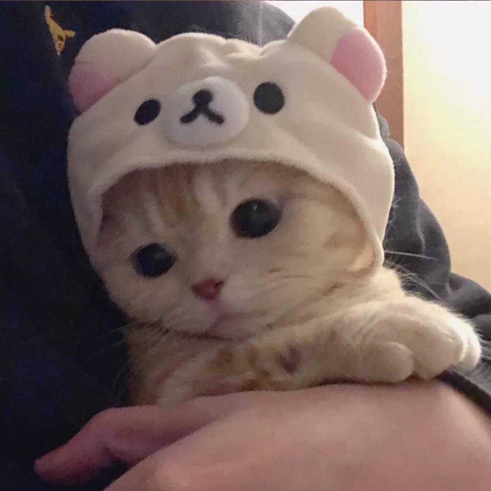 吃饱喝足