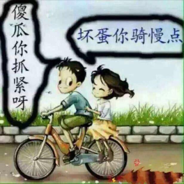 小小龙