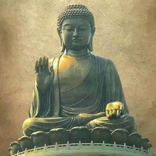 昙花🌸一战