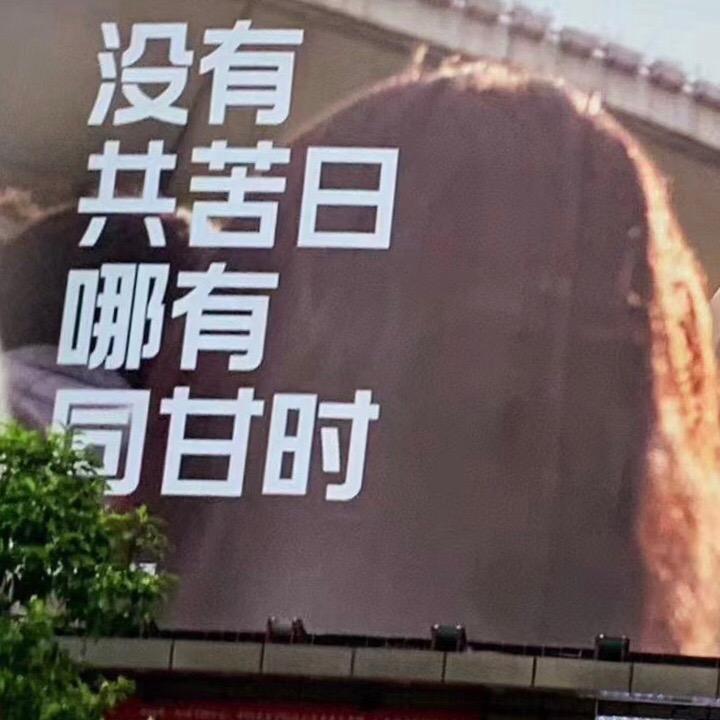 自有人评说🏸 🏸