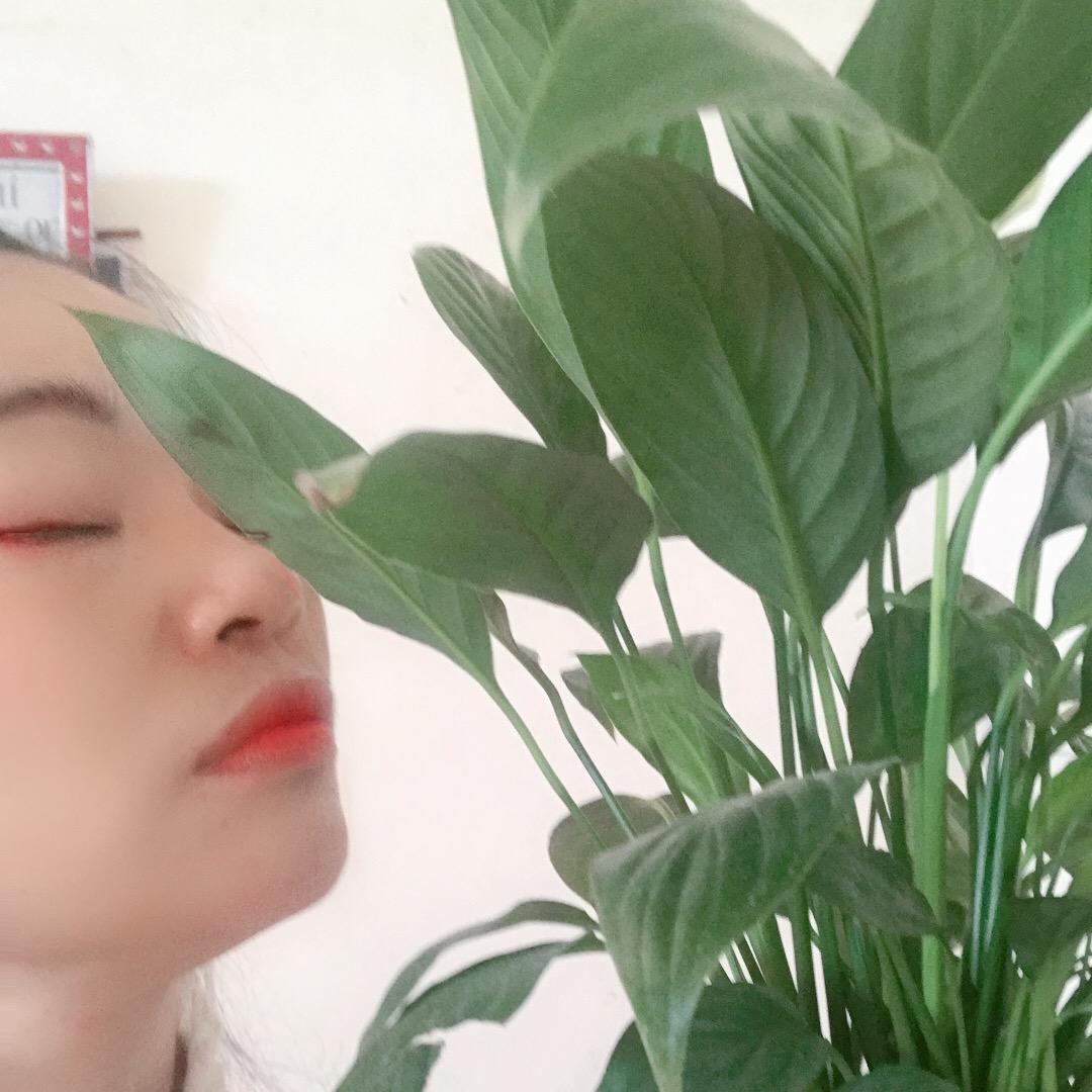 春天吖