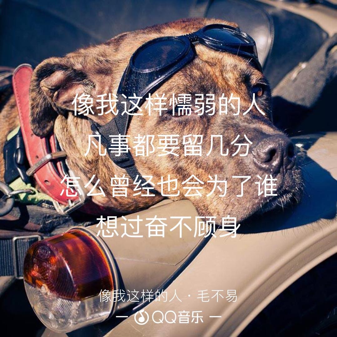 不易