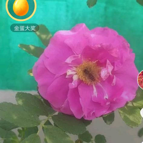 🌈浪迹天涯🇨🇳🇨🇳
