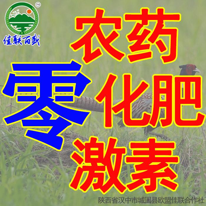 野百零