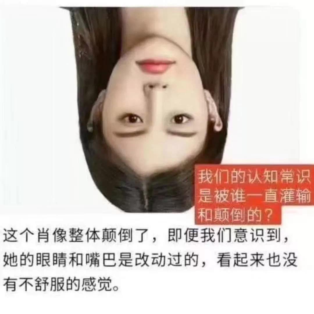 豫见小马