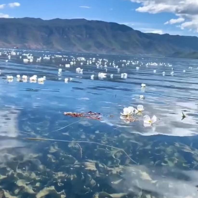 余辉